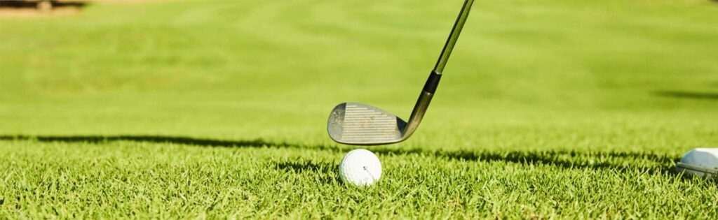 Moore Park Golf Practice Lessons Learn