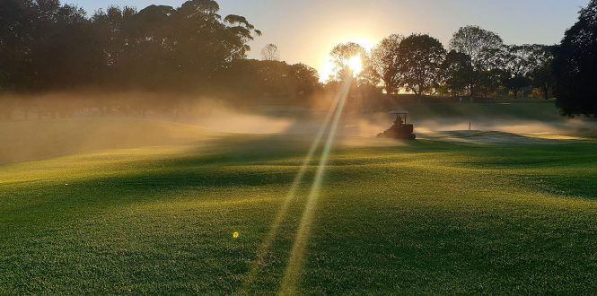 Course Renovations Update